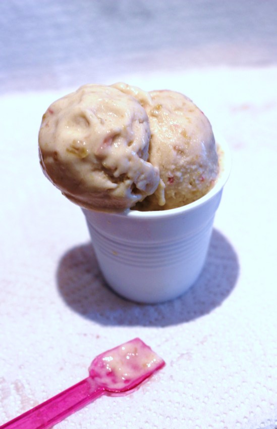 rhubarbandgingerfroyo3