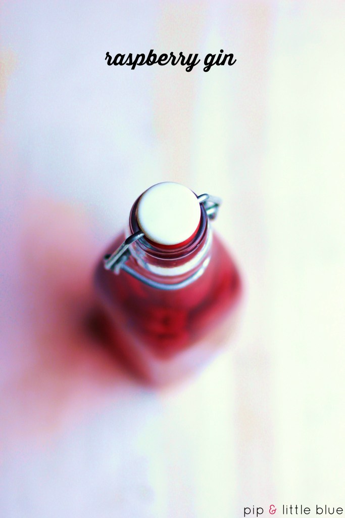 Homemade Raspberry Gin Raspberry gin | pip & little blue